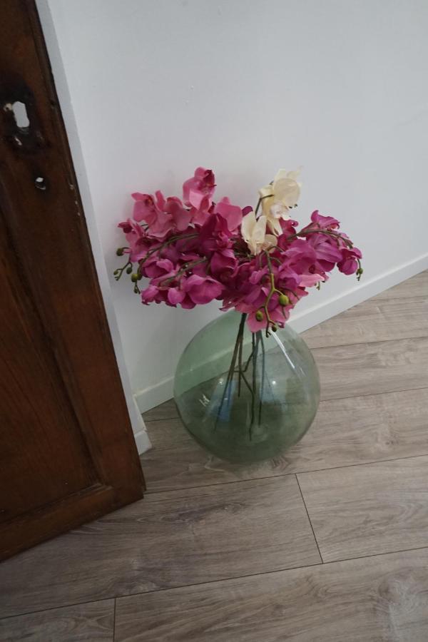 Appartement Gaudin باستيا المظهر الخارجي الصورة